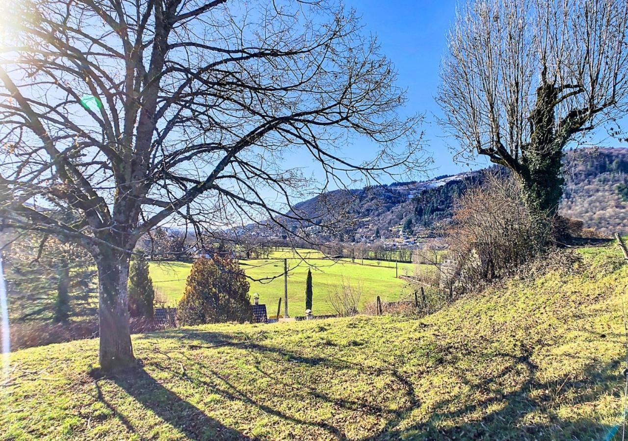 Maison Familiale En Auvergne, Nature Et Confort, 20 Min Lioran Vic-sur-Cère